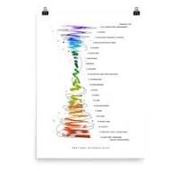 "The Journey of Emotional Spiral Ascending: Navigating Through the Ups and Downs of Emotions". 3 images 1