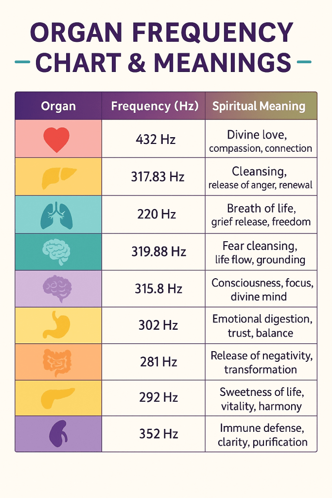 Infographic chart of human organs with their healing frequencies in hertz, chakra colors, and spiritual meanings.
